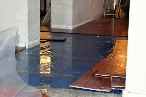 Professional Water Extraction technician working in Represa, CA